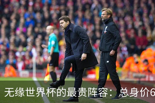 无缘世界杯的最贵阵容：总身价6.7亿 意大利5人